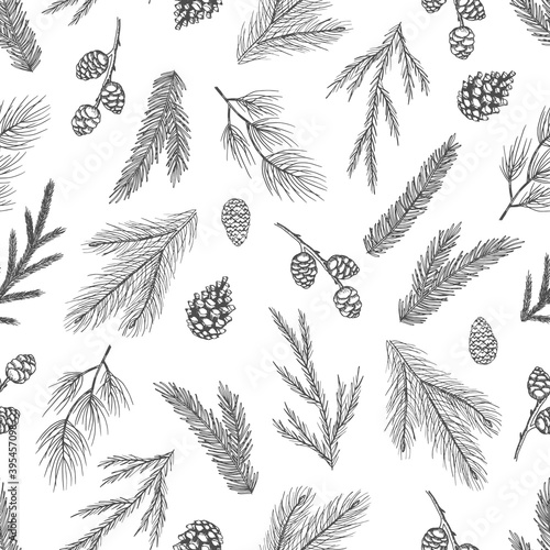 Seamless pattern with hand drawn cones,xmas tree. Christmas vector illustration.