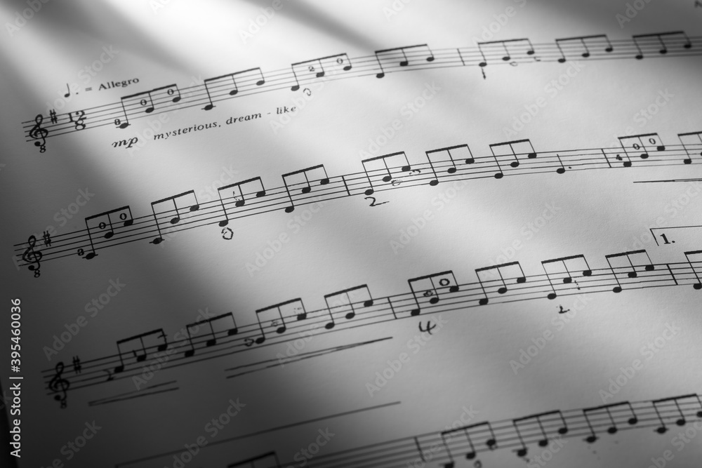 Fototapeta premium Sheet music.