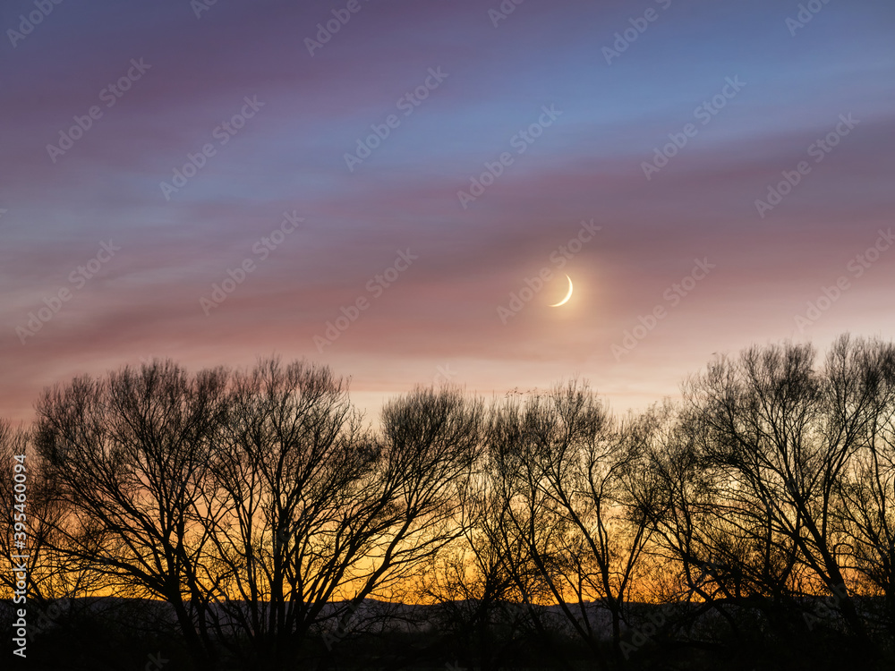 small moon with colourful sky an tree silhouette