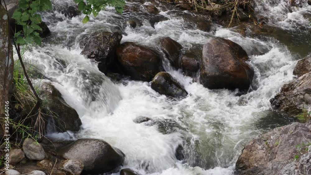 Flowing water, rocks and trees Flowing water, rocks and trees