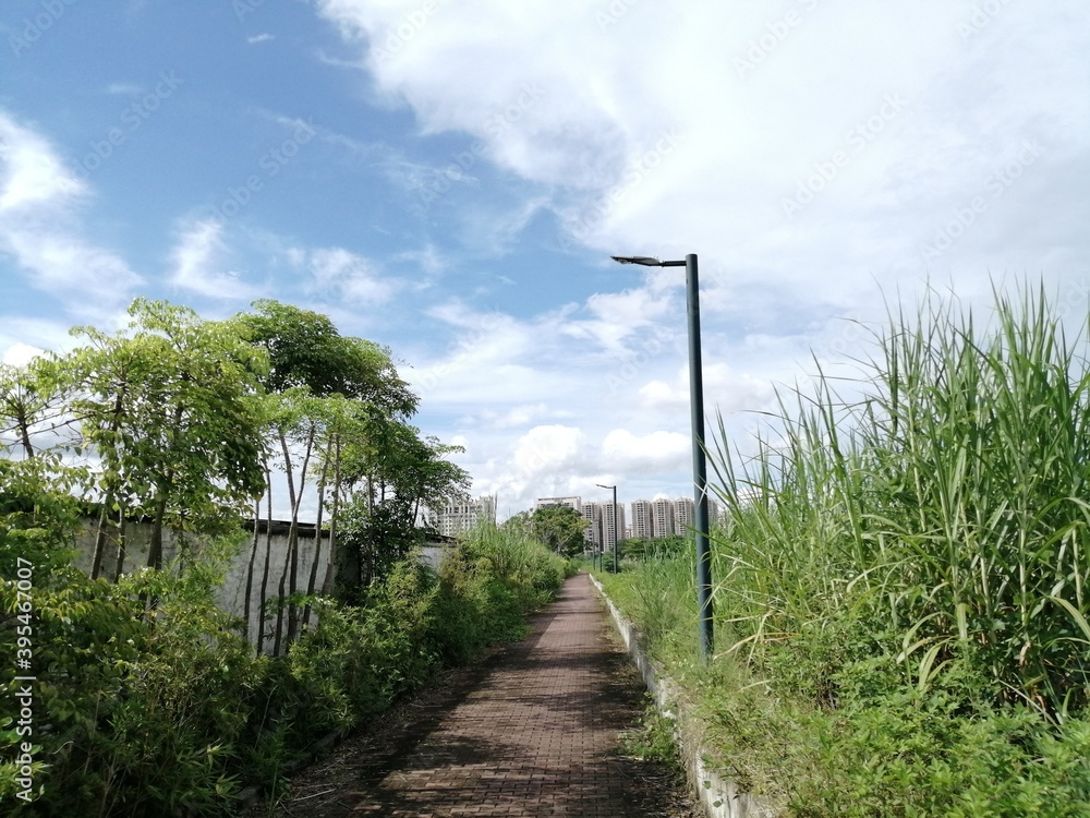 Fototapeta premium road to the sky