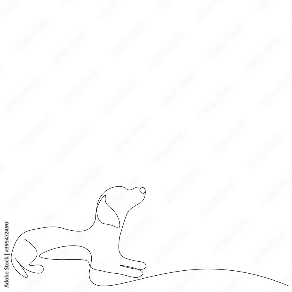 Dog on white background. Vector illustration Dog on white background. Vector illustration