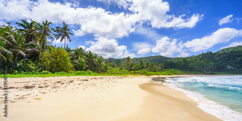 Fototapeta Naklejka Na Ścianę i Meble -  Beautiful wild lonely beach, police bay, seychelles 35