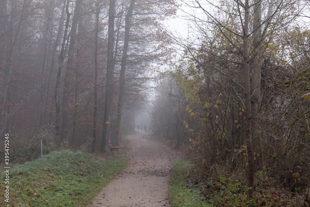 Fototapeta premium emmeschachen