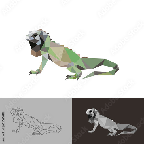 Iguana reptile low poly design