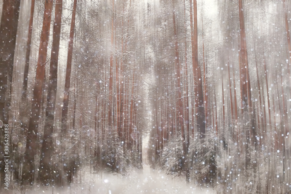 forest snow blurred background / winter landscape snow-covered forest, trees and branches in winter weather