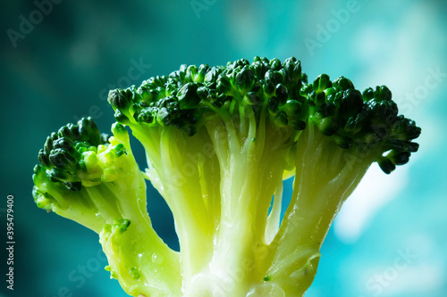 Blanched broccoli florets photo