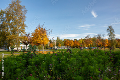 Concordia Park in Chemnitz, Germany during a sunny autumn morning.