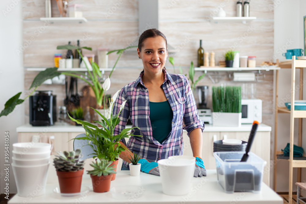 Using fertil soil with a shovel, white ceramic pot and houseflower, plants, prepared for replanting for house decoration. Using fertil soil with a shovel, white ceramic pot and houseflower, plants, prepared for replanting for house decoration.