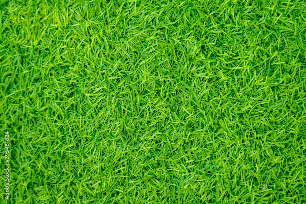 Green artificial grass natural Green artificial grass natural