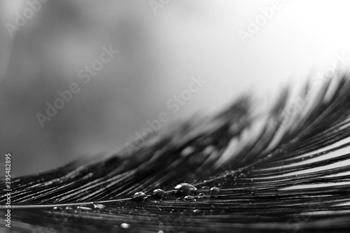 close up of a brush on a paper