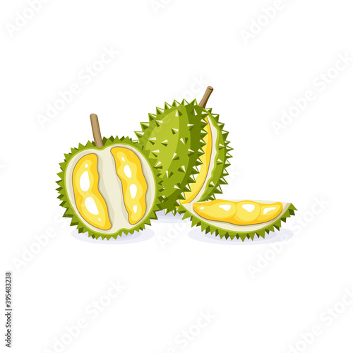 Vector illustration of a whole, half durian fruit. Vegetarian vegan fresh raw food. Cartoon style. Isolated tropical exotic fruit on a white background.