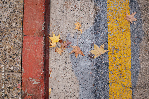 Some autumn leaves on a tarmac urban ground