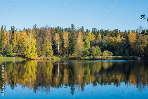 autumn trees reflected in water © Alena Petrachkova