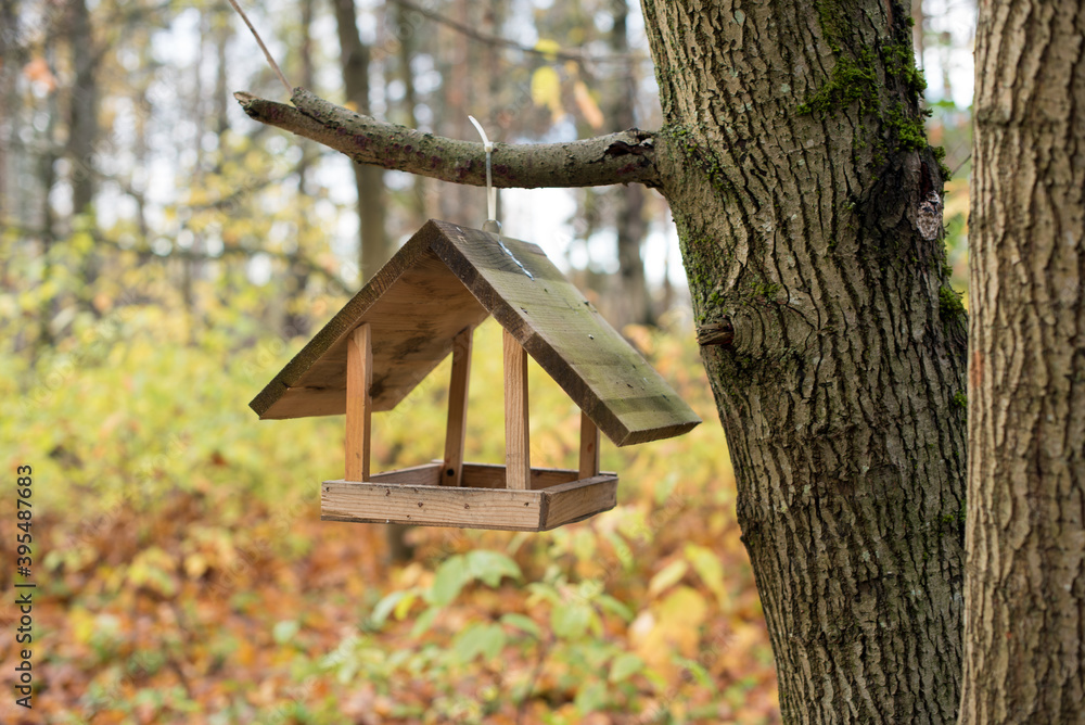 wooden bird house on the tree 