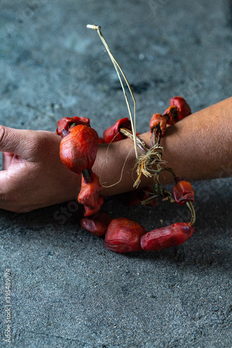 Dryed seafood named piure (piura chilensis) necklace photo