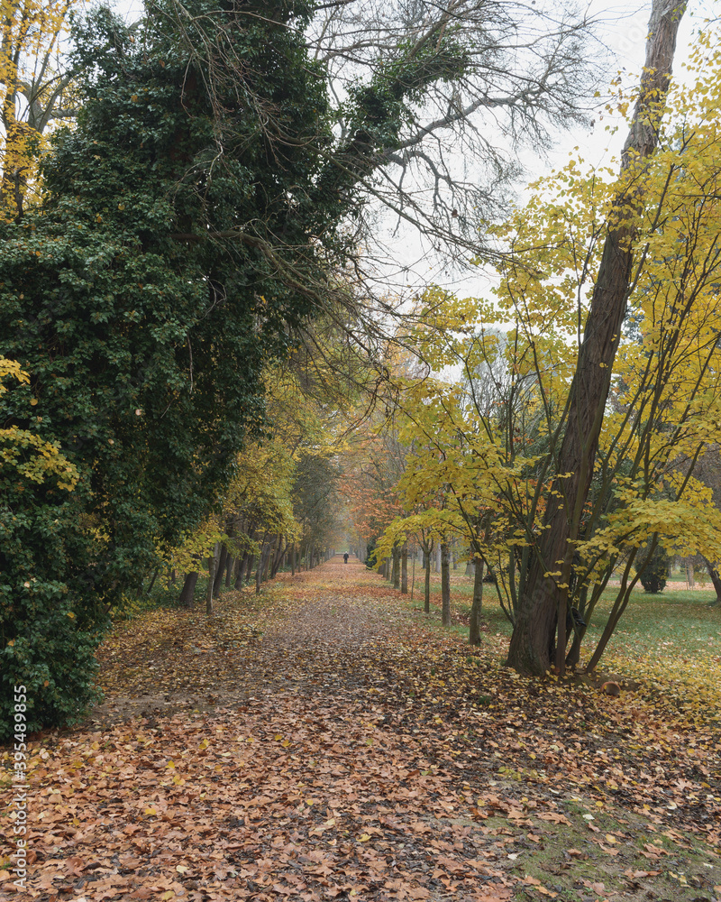 Naklejka premium Caminando hacia el final del camino