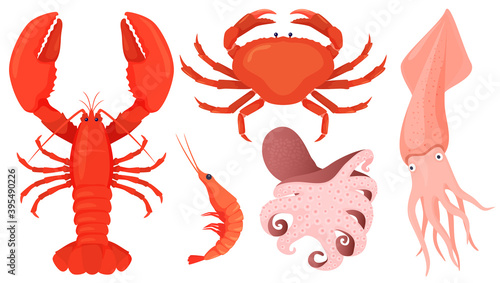 Set of seafood. Lobster, crab, shrimp, squid, octopus. Isolated vector illustration