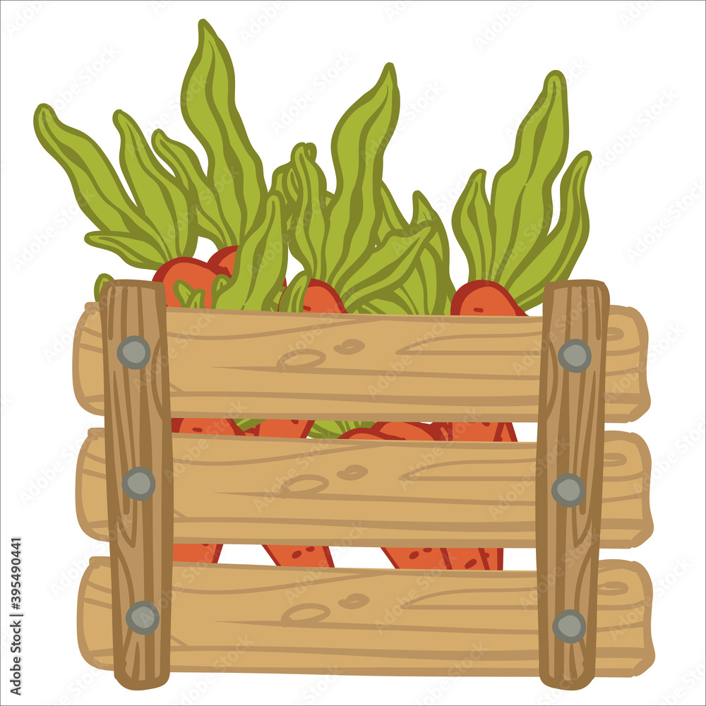 Carrots with leaves in wooden rustic basket vector Carrots with leaves in wooden rustic basket vector