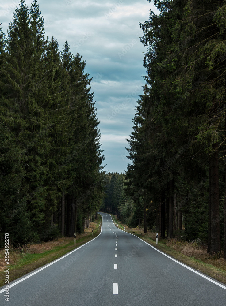 Naklejka premium road through the forest in summer