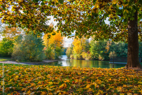 Herbstlandschaft in einem Park am See