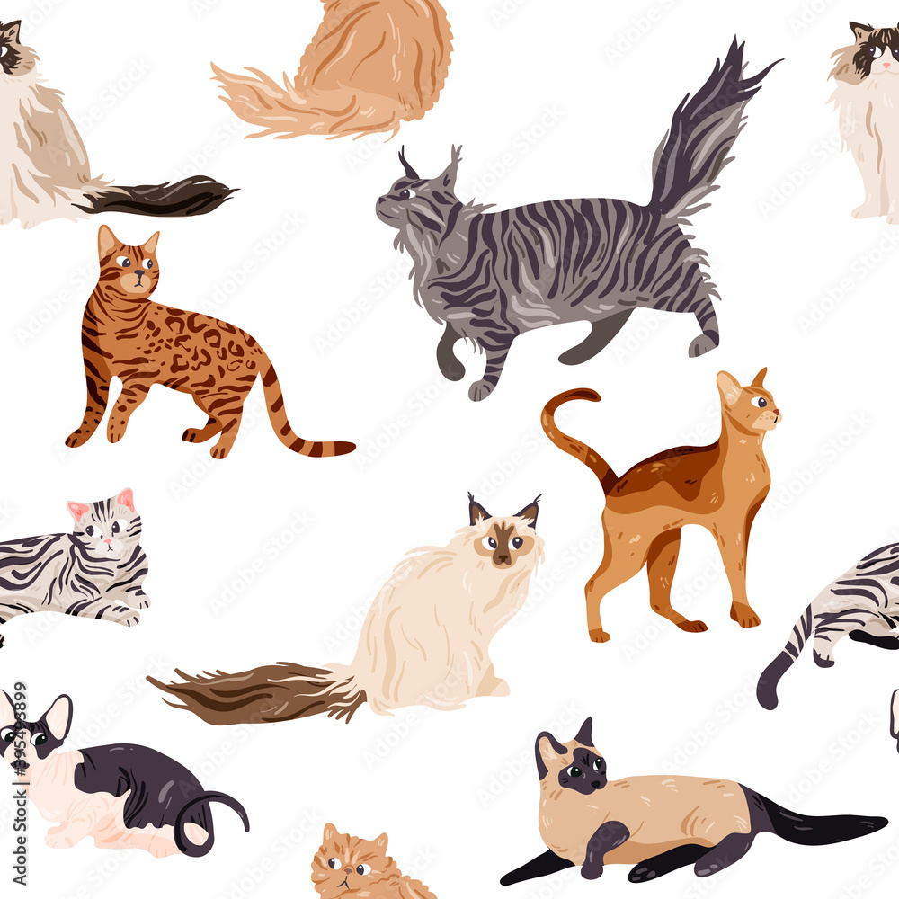 Pattern collection of different cat breeds isolated on white. Seamless texture kitty, feline. Cartoon doodle hand drawn style drawing.