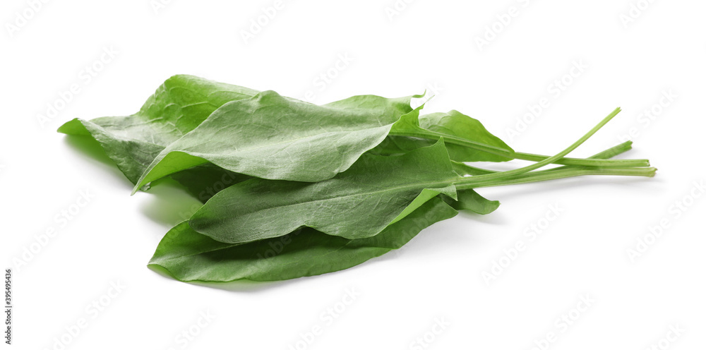 Bunch of fresh green sorrel leaves on white background Bunch of fresh green sorrel leaves on white background