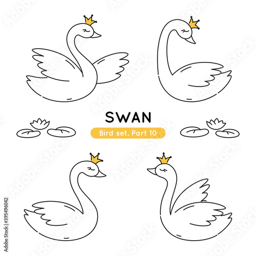 Set of doodle swans in various poses. Collection of cute characters isolated.