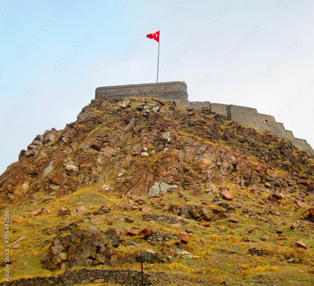 Naklejka premium tower