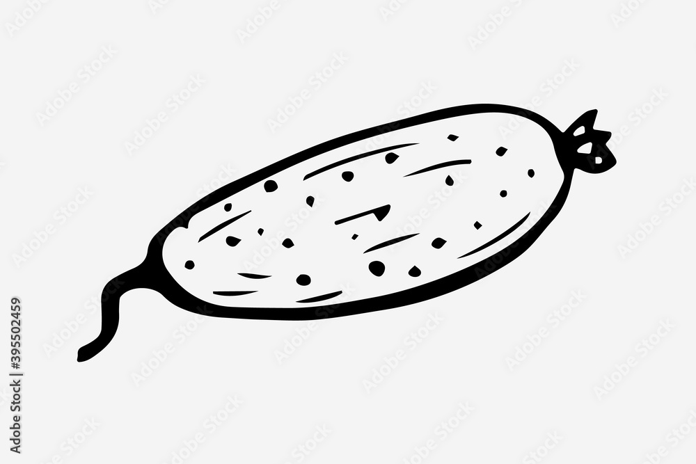 One hand-drawn cucumber design for greeting cards, posters, recipes, cooking design. Isolated on a white background. A drawn vector element. Black and white graphics One hand-drawn cucumber design for greeting cards, posters, recipes, cooking design. Isolated on a white background. A drawn vector element. Black and white graphics