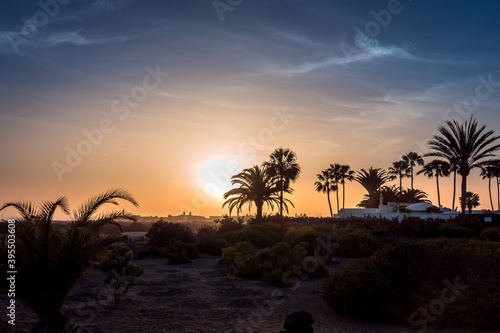 An enchanting sunset in the desert with amazing colors in the sky. The contours of palm trees and buildings are visible.