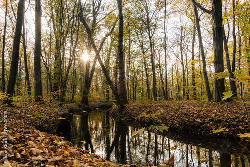 Herbst, Wanderung, Wald