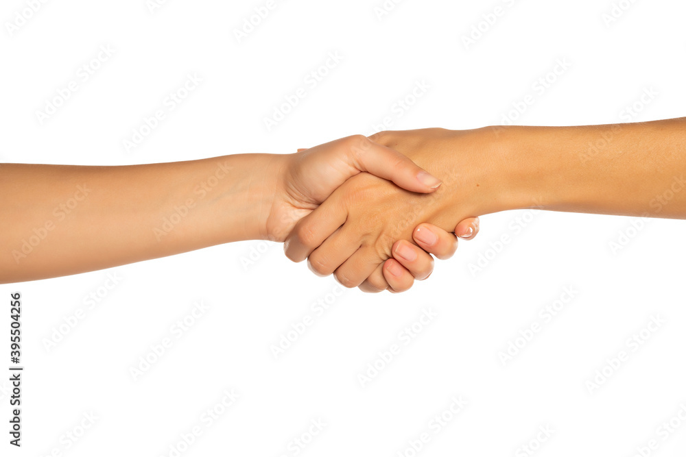 handshake isolated on white background