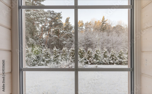 Home vinyl insulated windows with winter view of snowy trees and plants