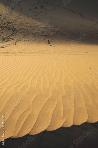 Dunas en el desierto 