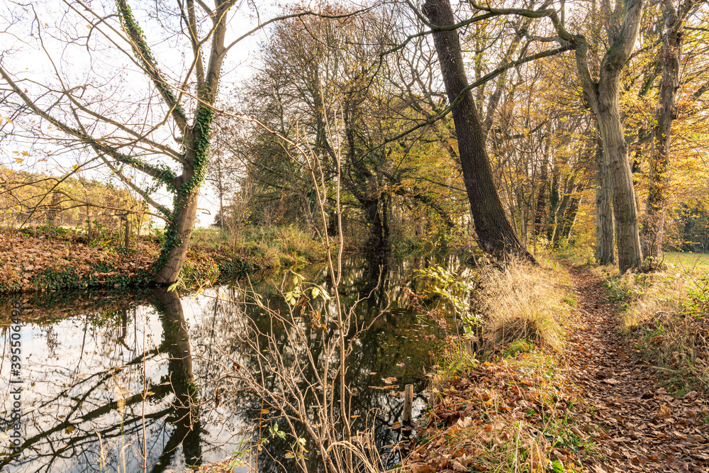 Herbst, Wanderung, Wald