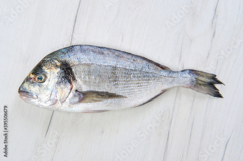 Dorada fish on black stone table