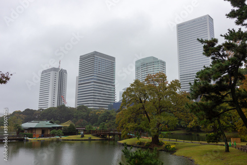 Famous gardens in Tokyo bay  Japan 