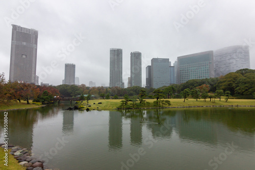 Famous gardens in Tokyo bay  Japan 