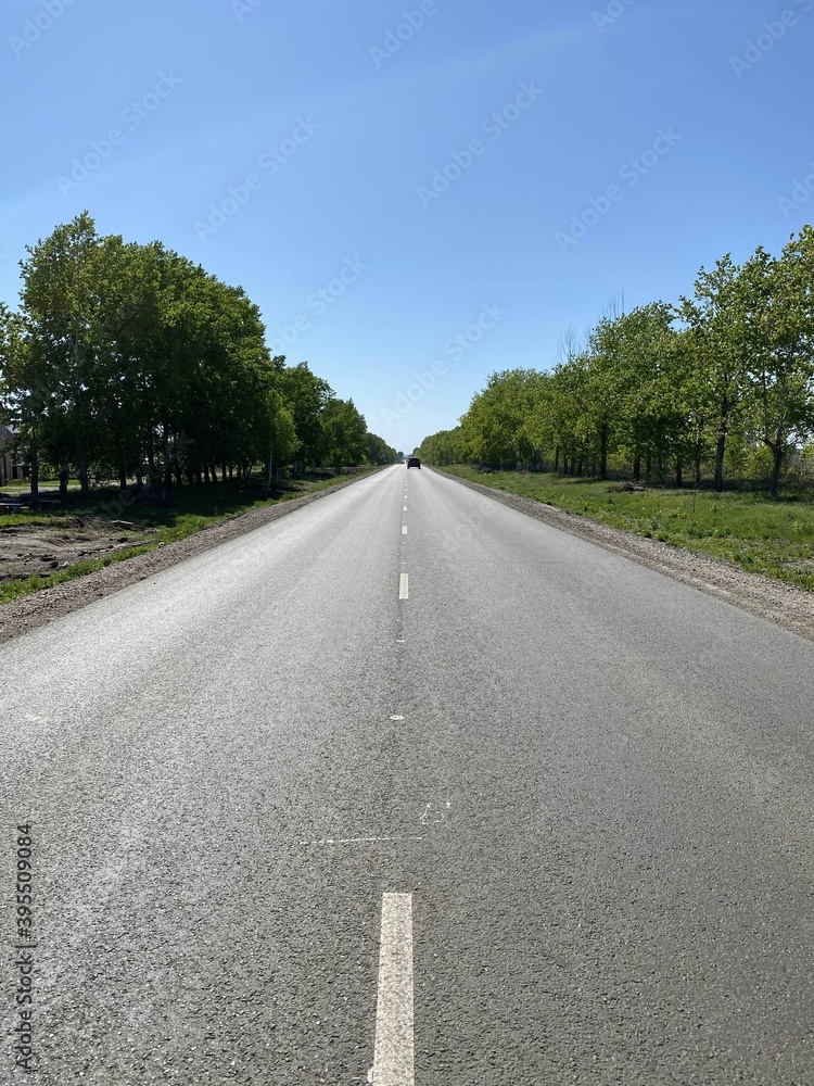 road asphalt dividing line trees