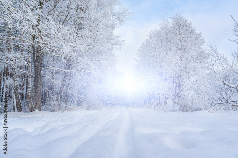 View of the winter Park in snowy weather. Snow-covered trees lanterns and paths. Seasonal changes in nature. Christmas background View of the winter Park in snowy weather. Snow-covered trees lanterns and paths. Seasonal changes in nature. Christmas background