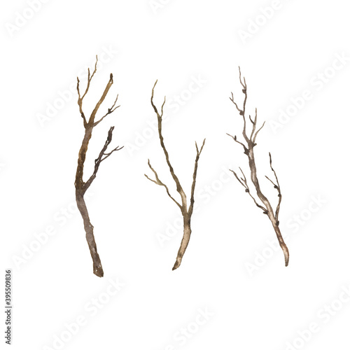 Set of dry wood branches. Hand drawn watercolor illustration.