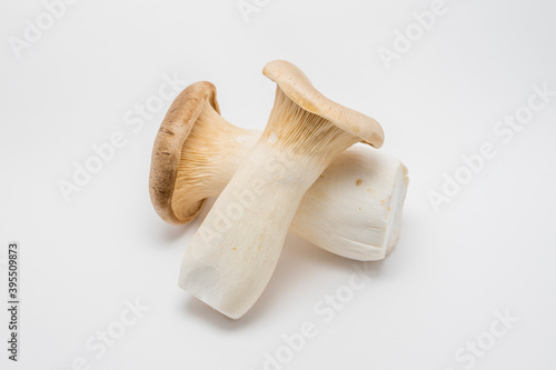 Vegetable: King trumpet mushroom (King oyster mushroom). White background.