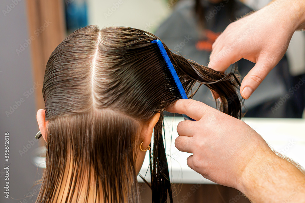 Hands of a hairdresser combing the hair of a young woman parted in sections at the barbershop Hands of a hairdresser combing the hair of a young woman parted in sections at the barbershop