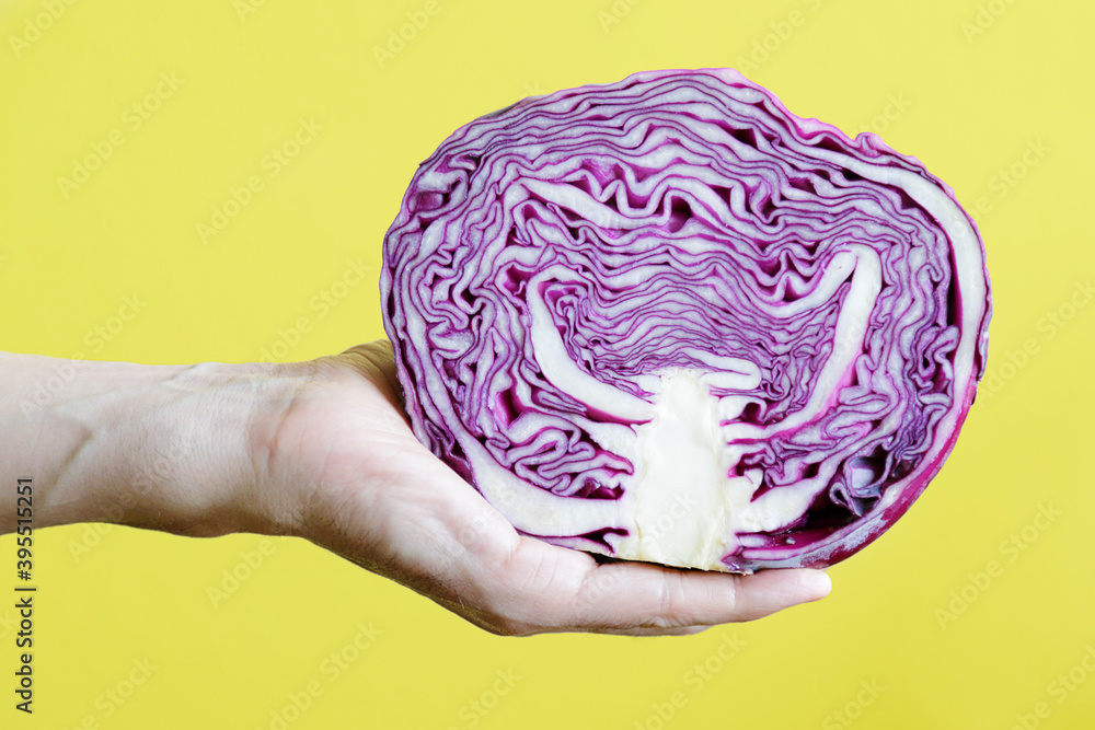 Obraz premium Man hand showing a red cabbage against yellow background