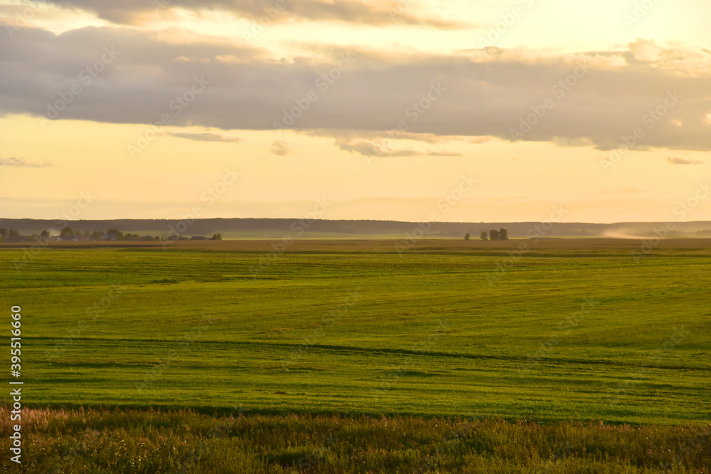 View of the green field against the sunset. Agricultural concept. Pink sky on the eve of the onset of thunderstorms and rain View of the green field against the sunset. Agricultural concept. Pink sky on the eve of the onset of thunderstorms and rain