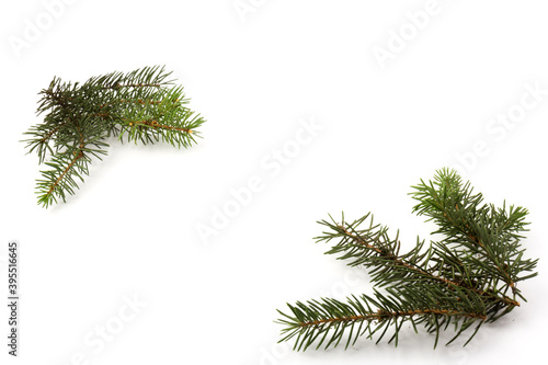 Pine branches isolated on white background  seamless pattern. Christmas and New Year background.