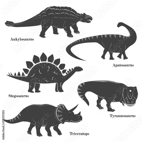Cute vector of young dinosaurs isolated on white background. Triceratops  Apatosaurus  Tyrannosaurus  Stegosaurus  and Ankylosaurus Set