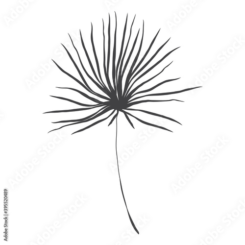 Fototapeta Naklejka Na Ścianę i Meble -  Minimalism line drawing. leaf vector one line art. Botanical Sketch Vector Illustration. Nature vector Line drawing. for home decor such as posters, wall art