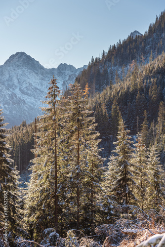 Vertical image of mountain scenery in winter